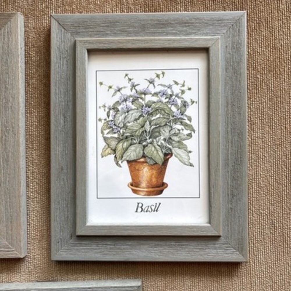 EUC Set Of Three Herb Portraits Thyme Sage Basil, Faux Wood Frame, 9 1/2 X 7 1/2 - Picture 3 of 12